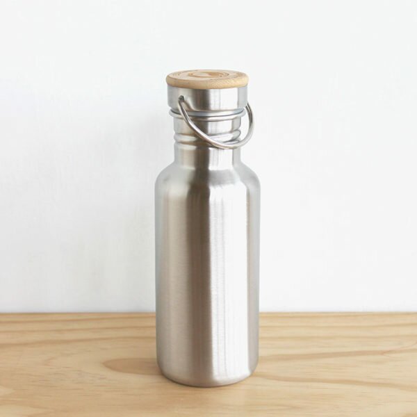 Ecotanka stainless steel water bottle